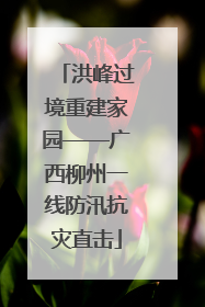 洪峰过境重建家园——广西柳州一线防汛抗灾直击