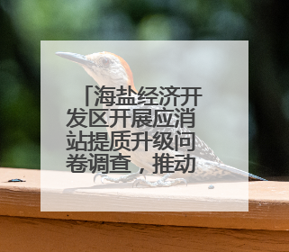 海盐经济开发区开展应消站提质升级问卷调查，推动民生实事落地落实