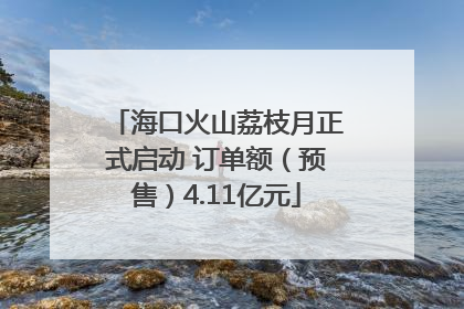 海口火山荔枝月正式启动 订单额（预售）4.11亿元