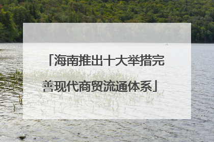海南推出十大举措完善现代商贸流通体系