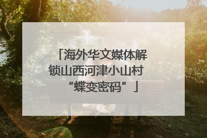 海外华文媒体解锁山西河津小山村“蝶变密码”