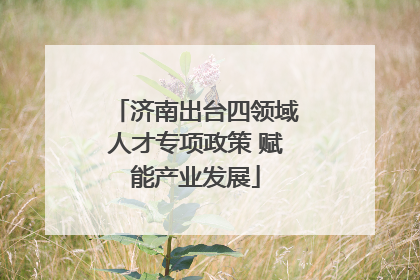 济南出台四领域人才专项政策 赋能产业发展