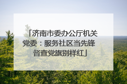 济南市委办公厅机关党委：服务社区当先锋 督查党旗别样红