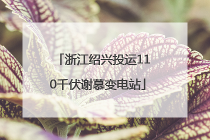 浙江绍兴投运110千伏谢慕变电站