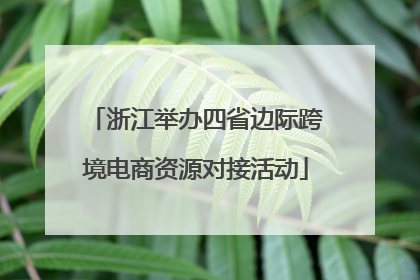 浙江举办四省边际跨境电商资源对接活动