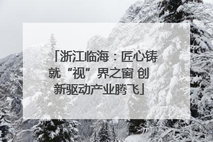 浙江临海：匠心铸就“视”界之窗 创新驱动产业腾飞