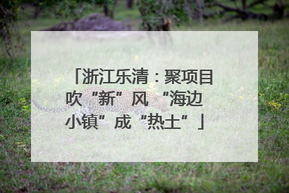 浙江乐清：聚项目吹“新”风 “海边小镇”成“热土”