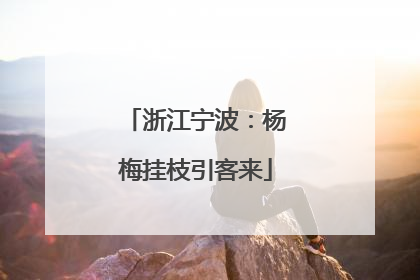 浙江宁波：杨梅挂枝引客来