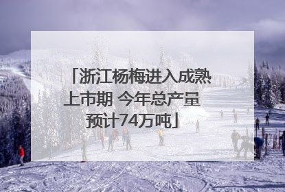 浙江杨梅进入成熟上市期 今年总产量预计74万吨