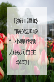 浙江温岭“曙光迷彩”小程序助力民兵自主学习
