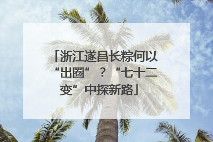 浙江遂昌长粽何以“出圈”？“七十二变”中探新路