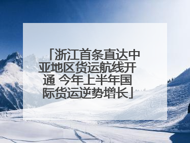 浙江首条直达中亚地区货运航线开通 今年上半年国际货运逆势增长