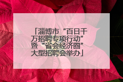 淄博市“百日千万招聘专项行动”暨“省会经济圈”大型招聘会举办