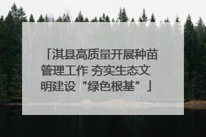 淇县高质量开展种苗管理工作 夯实生态文明建设“绿色根基”