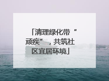 清理绿化带“顽疾”，共筑社区宜居环境
