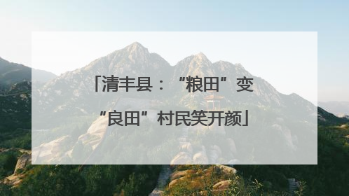 清丰县：“粮田”变“良田”村民笑开颜