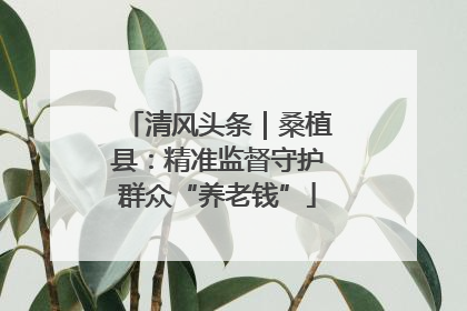 清风头条｜桑植县：精准监督守护群众“养老钱”