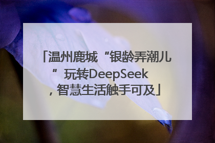 温州鹿城“银龄弄潮儿”玩转DeepSeek，智慧生活触手可及