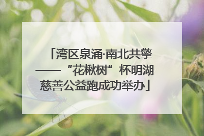 湾区泉涌·南北共擎——“花楸树”杯明湖慈善公益跑成功举办