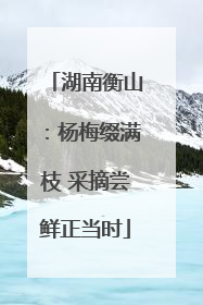 湖南衡山：杨梅缀满枝 采摘尝鲜正当时