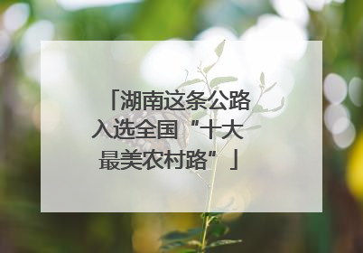 湖南这条公路入选全国“十大最美农村路”