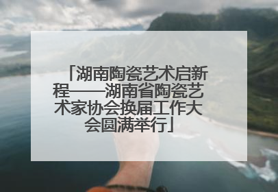 湖南陶瓷艺术启新程——湖南省陶瓷艺术家协会换届工作大会圆满举行