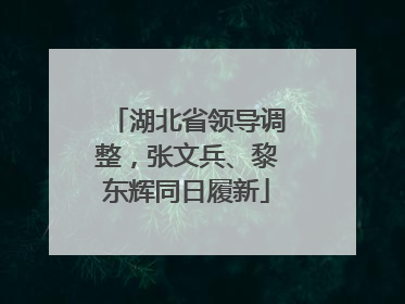 湖北省领导调整，张文兵、黎东辉同日履新