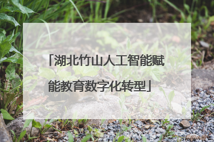 湖北竹山人工智能赋能教育数字化转型