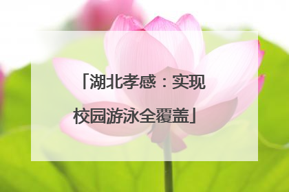 湖北孝感：实现校园游泳全覆盖