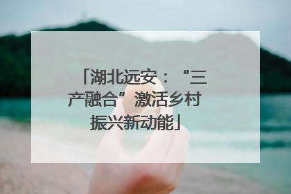 湖北远安：“三产融合”激活乡村振兴新动能
