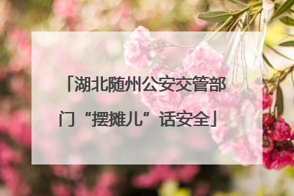 湖北随州公安交管部门“摆摊儿”话安全
