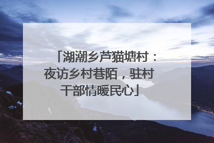 湖潮乡芦猫塘村：夜访乡村巷陌，驻村干部情暖民心