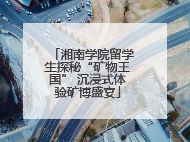 湘南学院留学生探秘“矿物王国” 沉浸式体验矿博盛宴