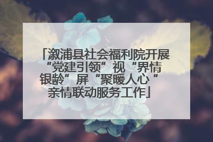 溆浦县社会福利院开展“党建引领”视“界情 银龄”屏“聚暖人心 ”亲情联动服务工作
