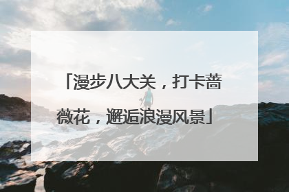 漫步八大关，打卡蔷薇花，邂逅浪漫风景