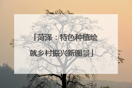 菏泽：特色种植绘就乡村振兴新图景