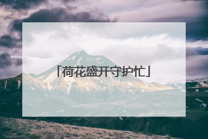 荷花盛开守护忙