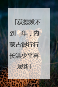 获提拔不到一年，内蒙古银行行长洪少平再履新