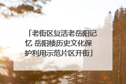 老街区复活老岳阳记忆 岳阳楼历史文化保护利用示范片区开街