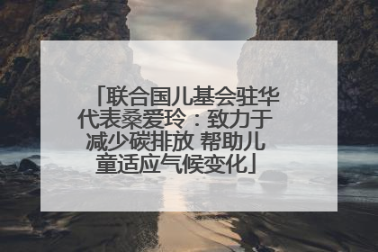 联合国儿基会驻华代表桑爱玲：致力于减少碳排放 帮助儿童适应气候变化