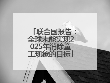 联合国报告：全球未能实现2025年消除童工现象的目标