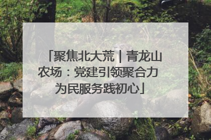 聚焦北大荒｜青龙山农场：党建引领聚合力 为民服务践初心