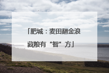 肥城：麦田翻金浪藏粮有“智”方