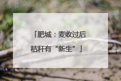 肥城：麦收过后秸秆有“新生”