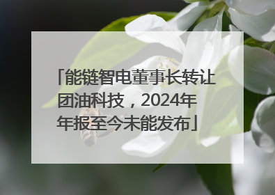 能链智电董事长转让团油科技，2024年年报至今未能发布
