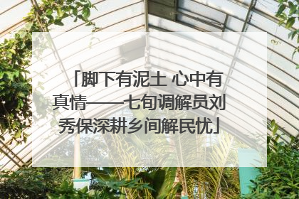 脚下有泥土 心中有真情——七旬调解员刘秀保深耕乡间解民忧