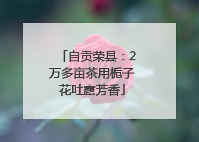 自贡荣县：2万多亩茶用栀子花吐露芳香