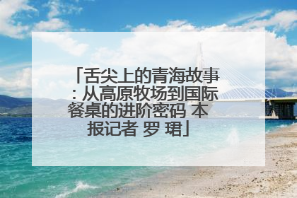 舌尖上的青海故事：从高原牧场到国际餐桌的进阶密码 本报记者 罗 珺