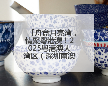 舟竞月亮湾，情聚粤港澳！2025粤港澳大湾区（深圳南澳）海上龙舟赛正式开赛！_深圳新闻网