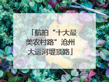 航拍“十大最美农村路”沧州大运河堤顶路
